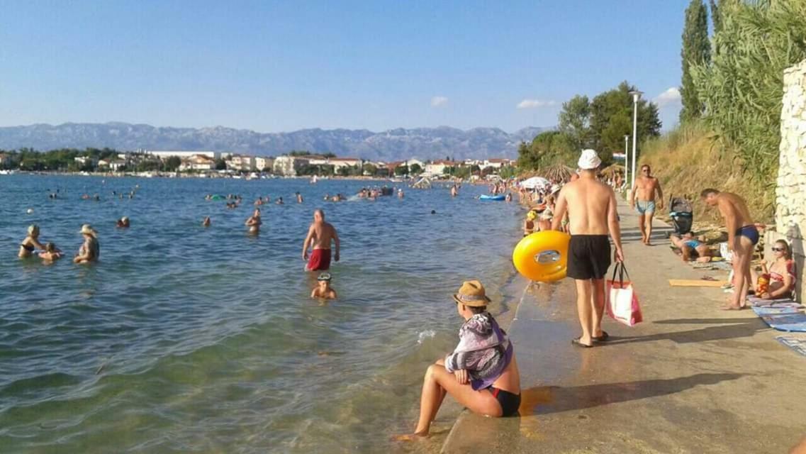 Apartman Zvoncica Врси Екстериор снимка
